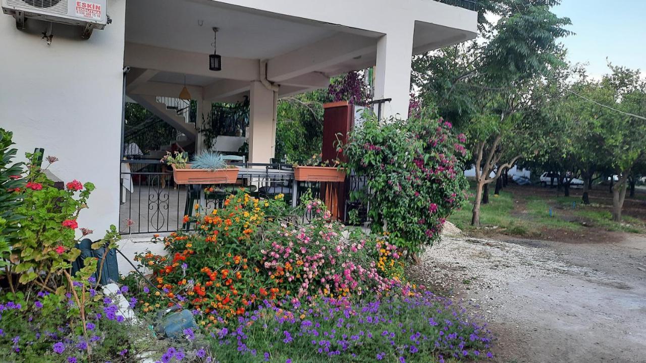 Teo Hotel&Pansion Cirali Exterior photo