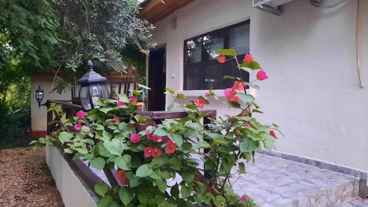 Teo Hotel&Pansion Cirali Exterior photo