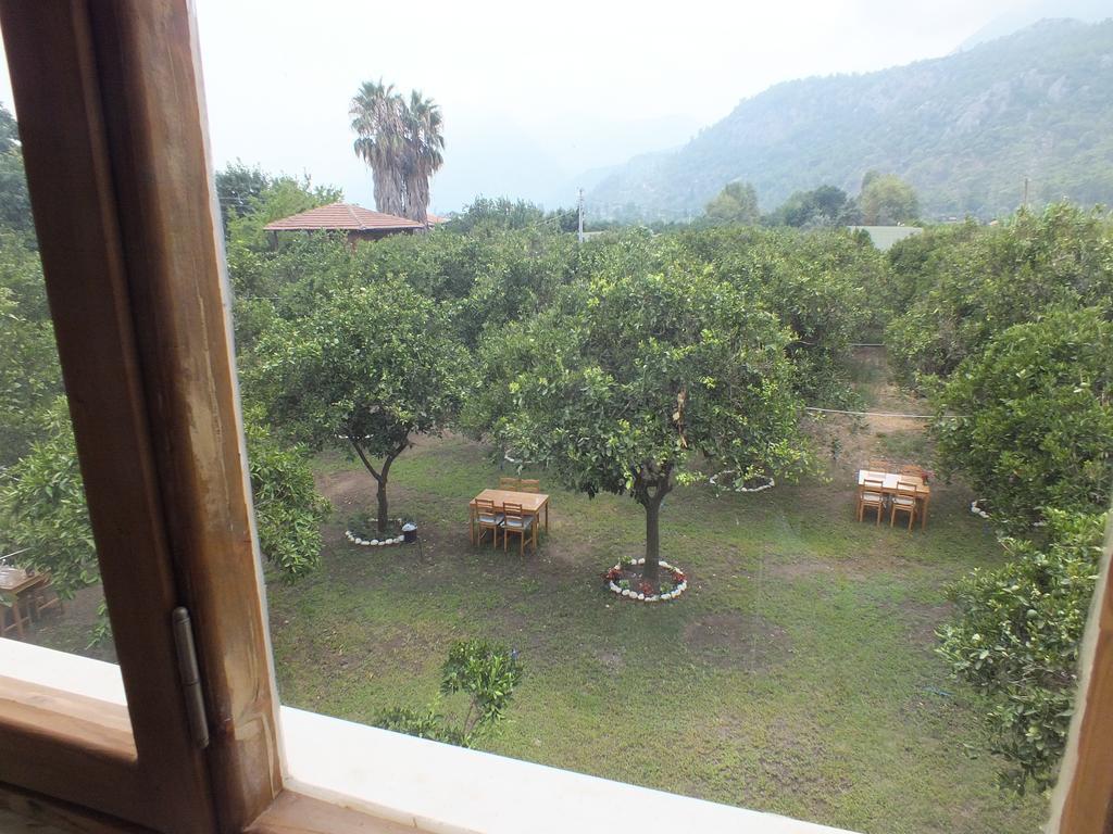 Teo Hotel&Pansion Cirali Room photo